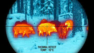 10 Magic Uses of Civilian Thermal Imaging! Beyond Night Vision, Anyone Can Use It at Home
